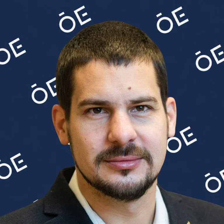Prof. Dr. Haidegger Tamás